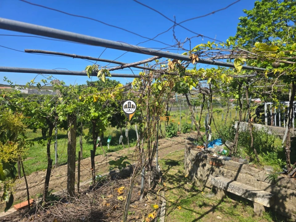 Quinta T0 para Venda em Castelo Branco Foto 16