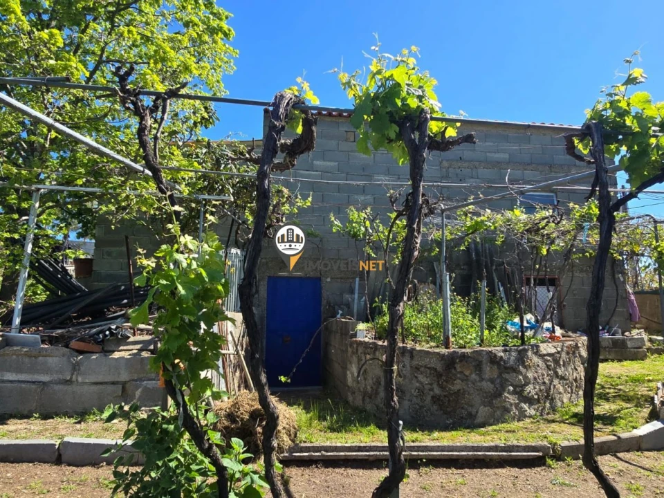 Quinta T0 para Venda em Castelo Branco Foto 1