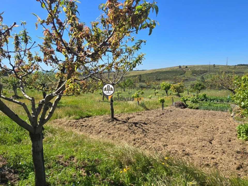 Quinta T0 para Venda em Castelo Branco Foto 7