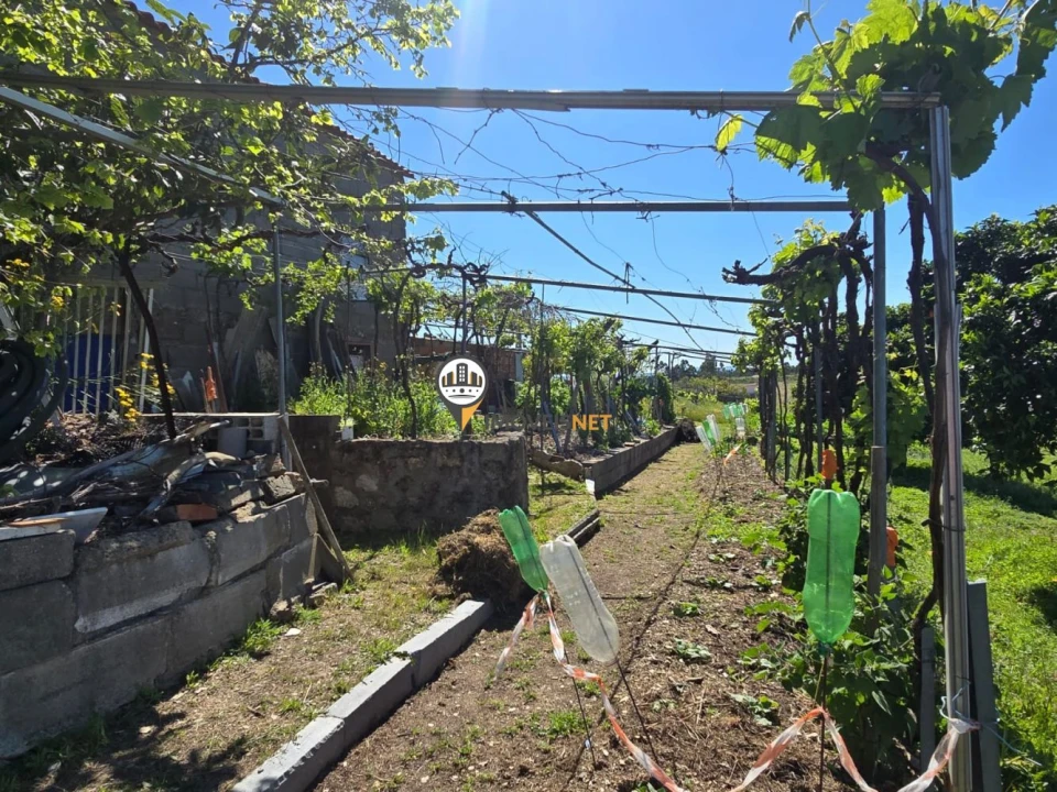 Quinta T0 para Venda em Castelo Branco Foto 9