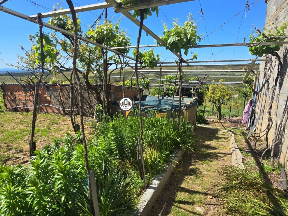 Quinta T0 para Venda em Castelo Branco Foto 2