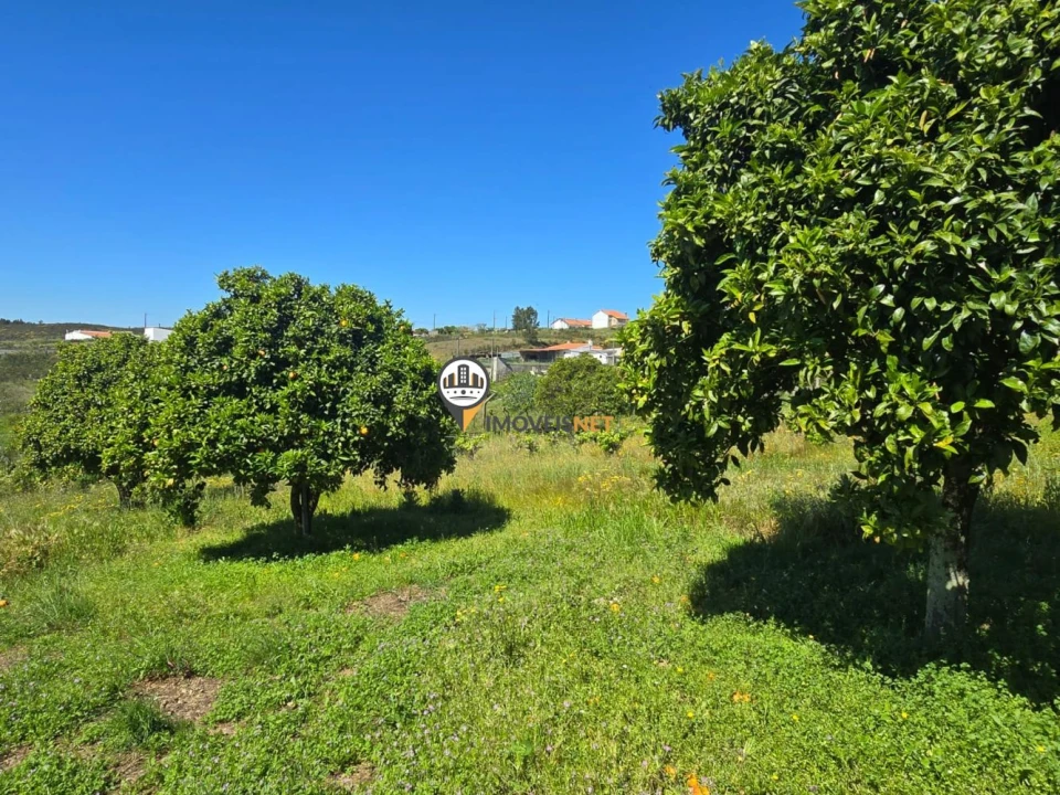 Quinta T0 para Venda em Castelo Branco Foto 10
