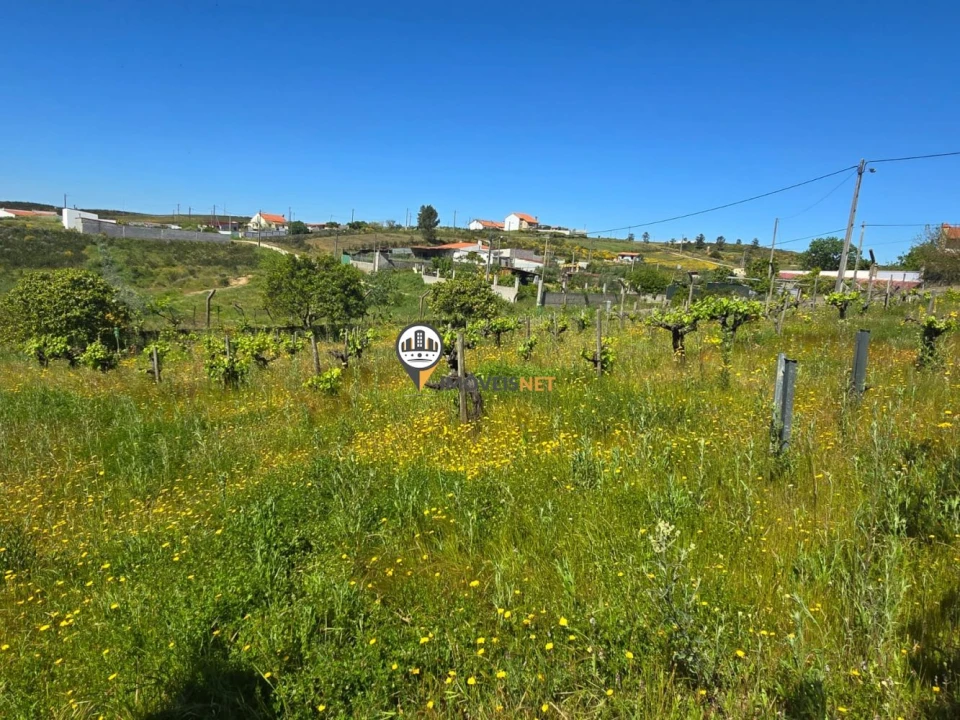 Quinta T0 para Venda em Castelo Branco Foto 8