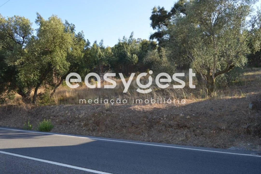 Terreno Agricola ou Rústico para Venda em Praia do Ribatejo Foto 2