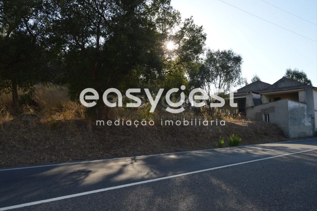 Terreno Agricola ou Rústico para Venda em Praia do Ribatejo Foto 7