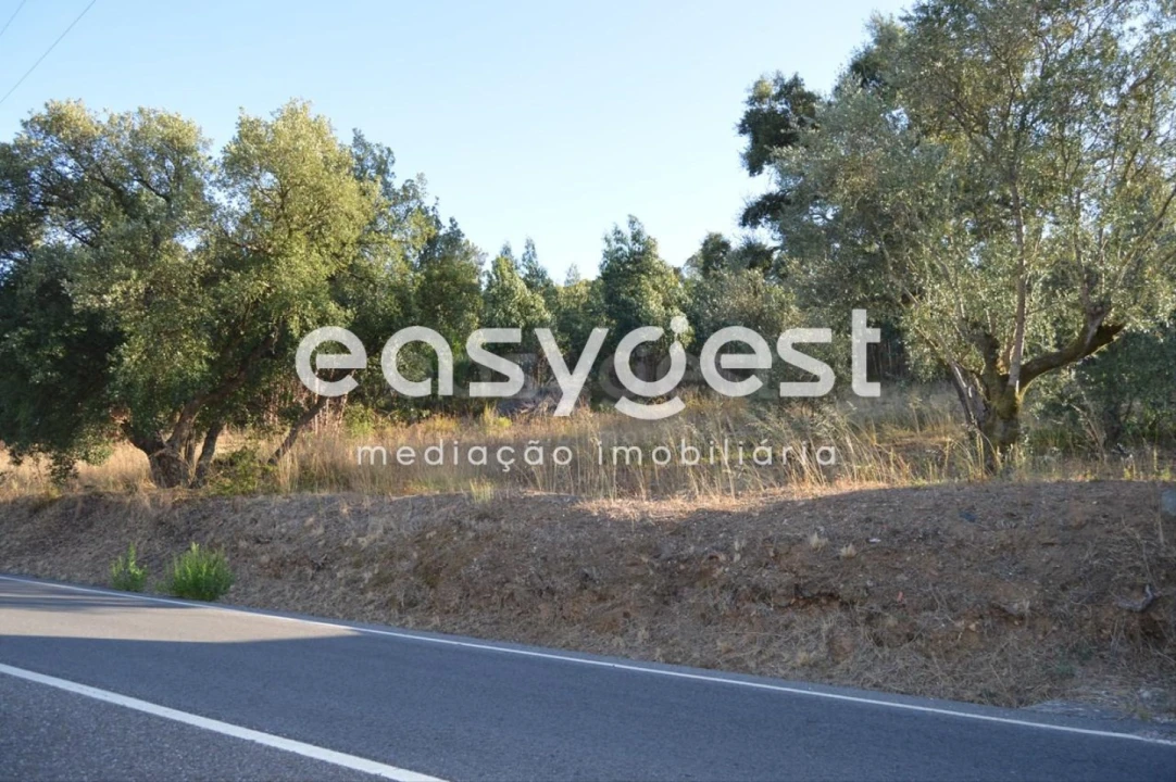 Terreno Agricola ou Rústico para Venda em Praia do Ribatejo Foto 8