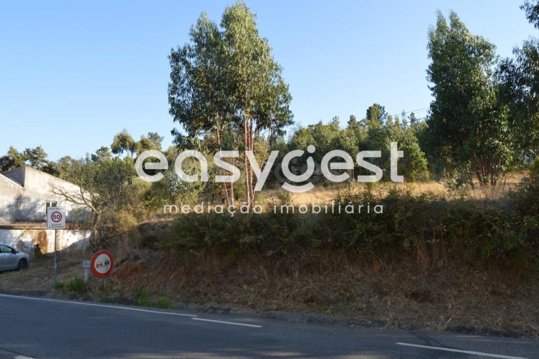 Terreno Agricola ou Rústico para Venda em Praia do Ribatejo Foto 12