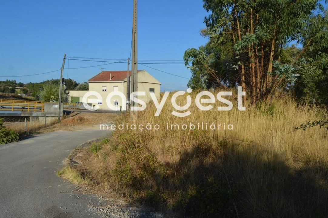 Terreno Agricola ou Rústico para Venda em Praia do Ribatejo Foto 15