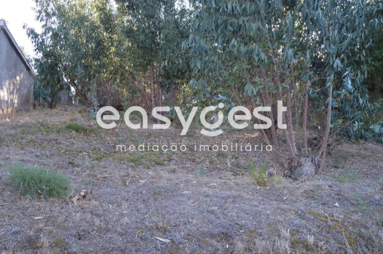 Terreno Agricola ou Rústico para Venda em Praia do Ribatejo Foto 3