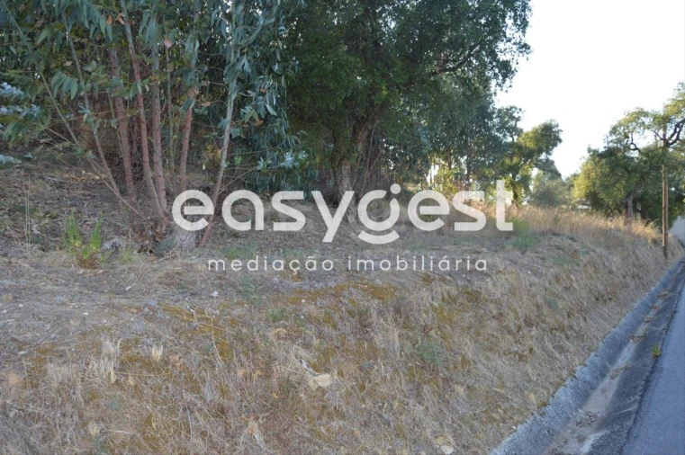 Terreno Agricola ou Rústico para Venda em Praia do Ribatejo Foto 4