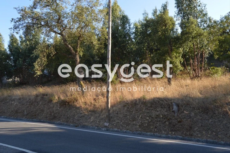 Terreno Agricola ou Rústico para Venda em Praia do Ribatejo Foto 6