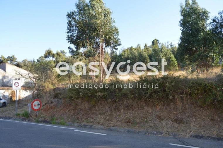 Terreno Agricola ou Rústico para Venda em Praia do Ribatejo Foto 10