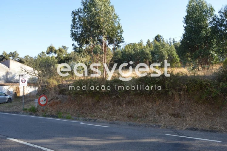 Terreno Agricola ou Rústico para Venda em Praia do Ribatejo Foto 11