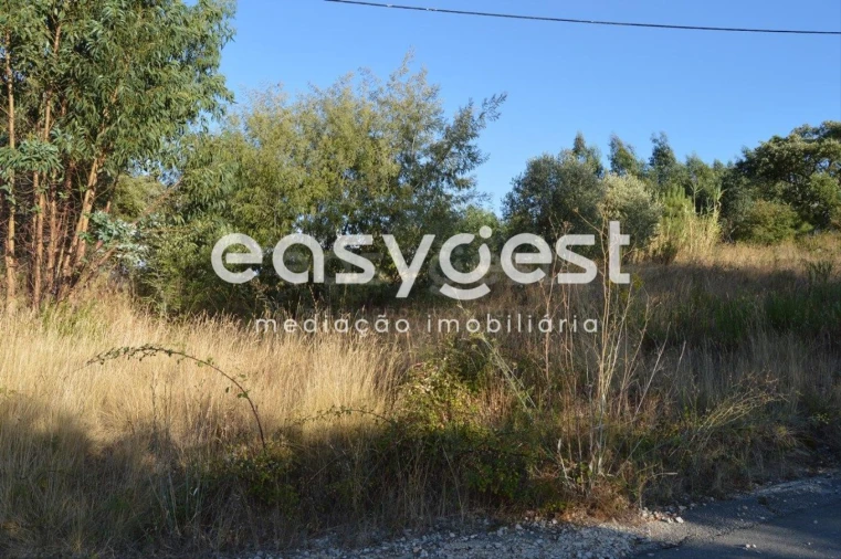 Terreno Agricola ou Rústico para Venda em Praia do Ribatejo Foto 13