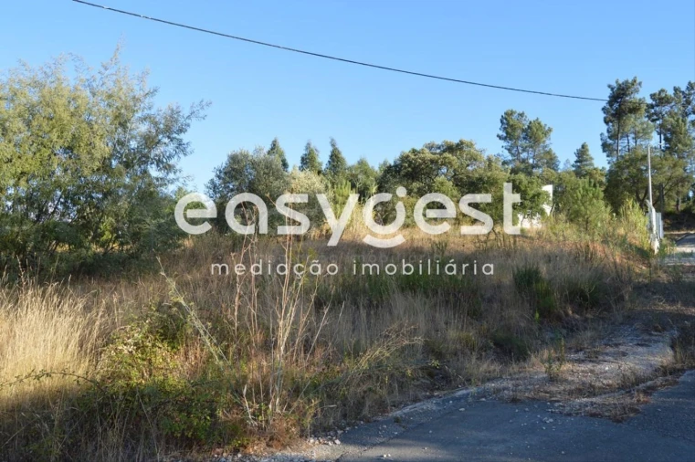 Terreno Agricola ou Rústico para Venda em Praia do Ribatejo Foto 14