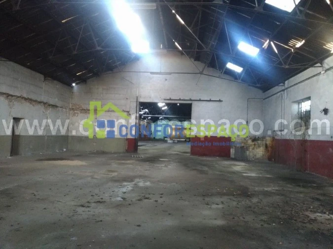 Loja para Venda em Castelo Branco Foto 13