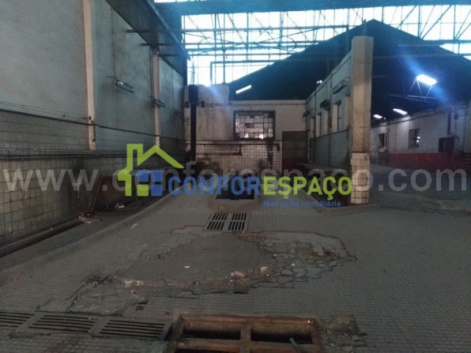 Loja para Venda em Castelo Branco Foto 4