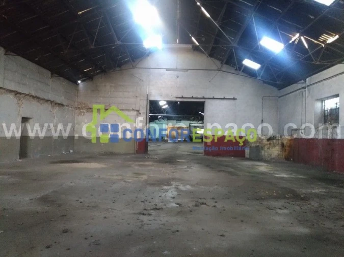 Loja para Venda em Castelo Branco Foto 14