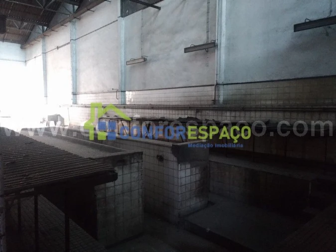 Loja para Venda em Castelo Branco Foto 7