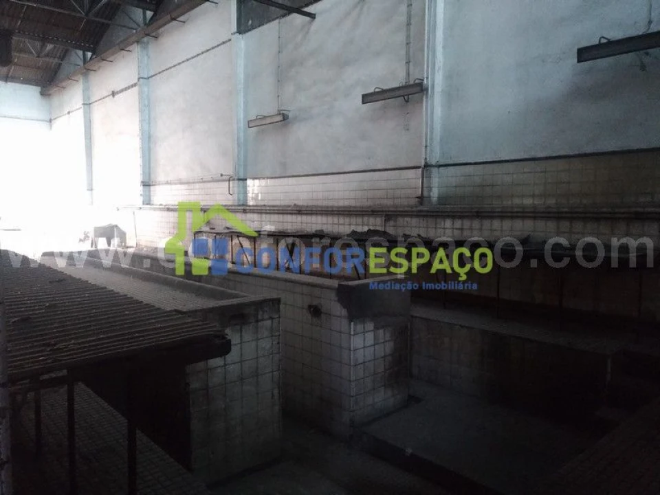 Loja para Venda em Castelo Branco Foto 7