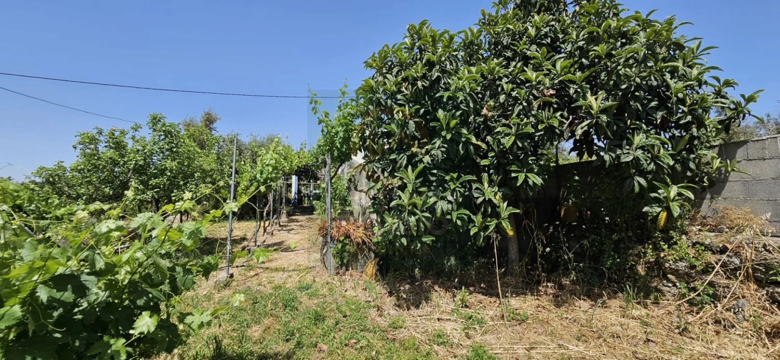 Terreno para Venda em Escalos de Baixo e Mata Foto 36