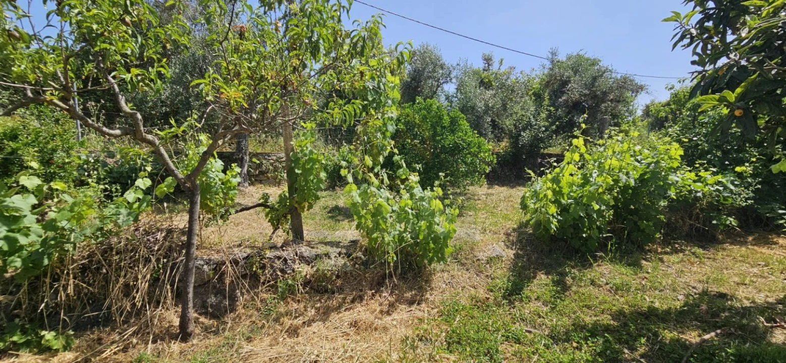Terreno para Venda em Escalos de Baixo e Mata Foto 34