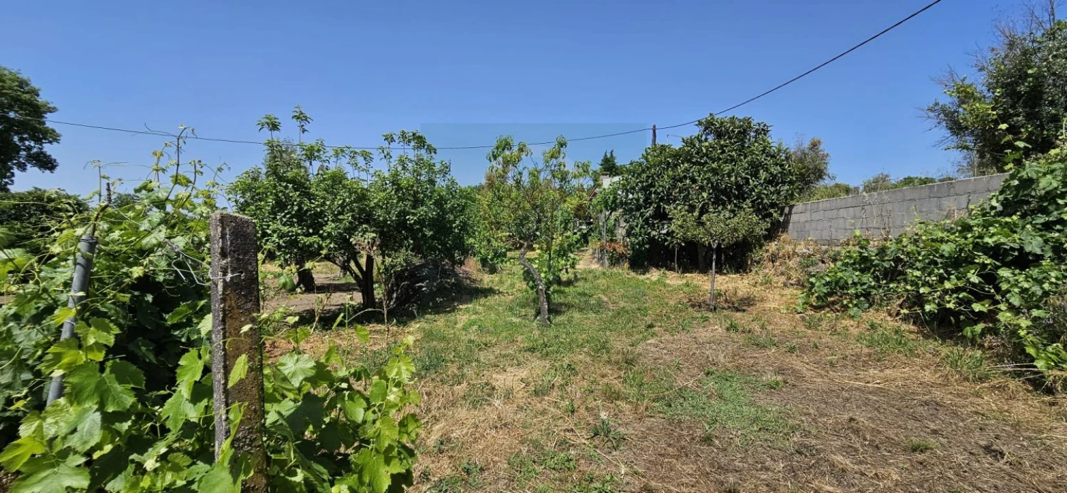 Terreno para Venda em Escalos de Baixo e Mata Foto 20
