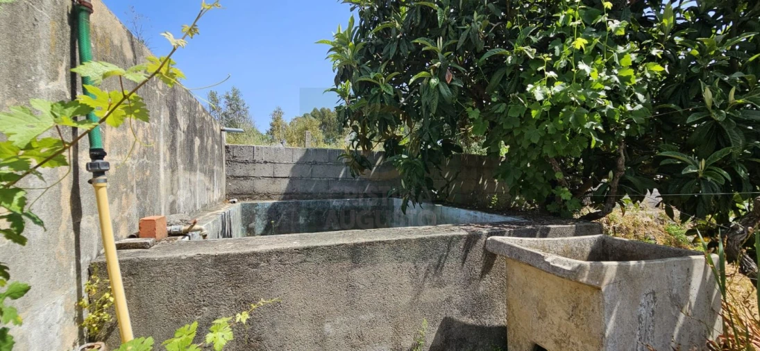 Terreno para Venda em Escalos de Baixo e Mata Foto 33