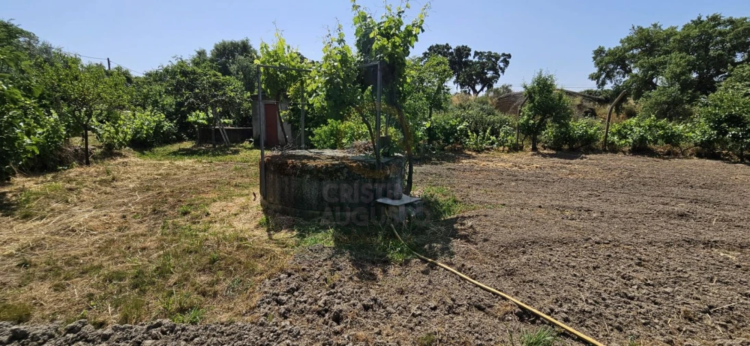 Terreno para Venda em Escalos de Baixo e Mata Foto 48