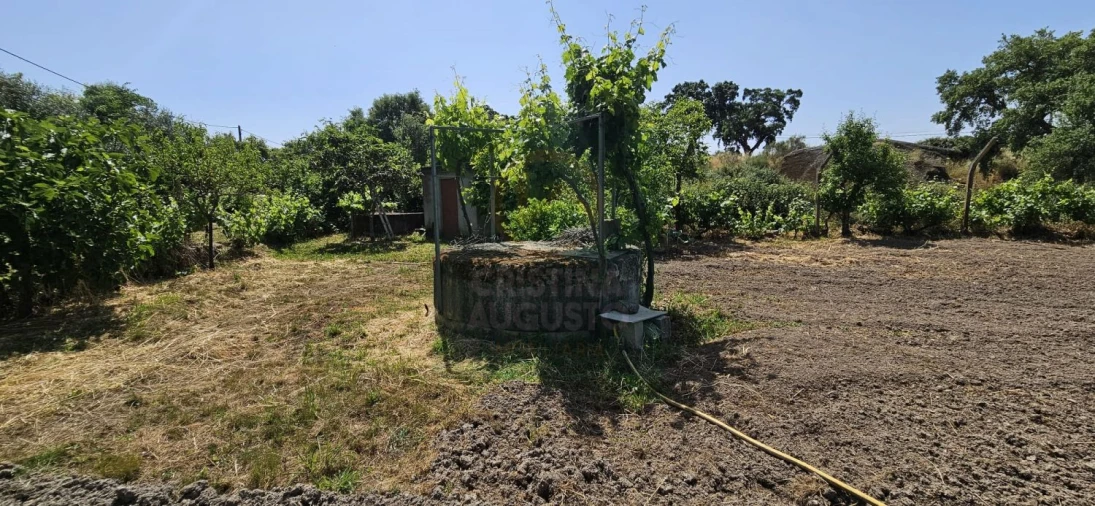 Terreno para Venda em Escalos de Baixo e Mata Foto 6