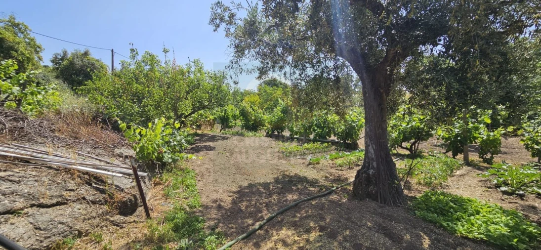 Terreno para Venda em Escalos de Baixo e Mata Foto 29