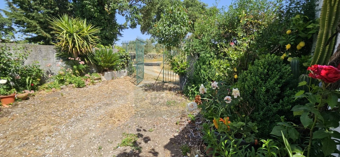 Terreno para Venda em Escalos de Baixo e Mata Foto 8