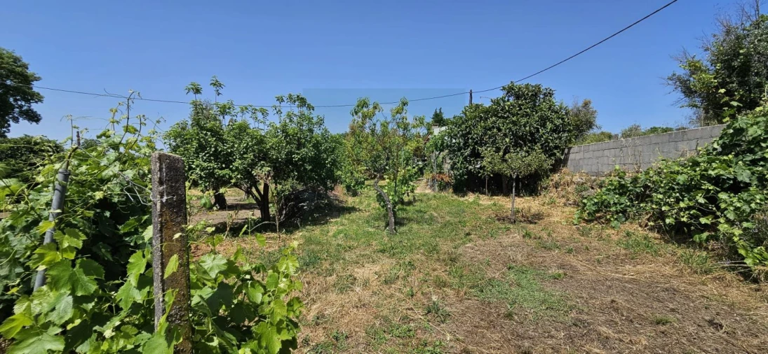Terreno para Venda em Escalos de Baixo e Mata Foto 20