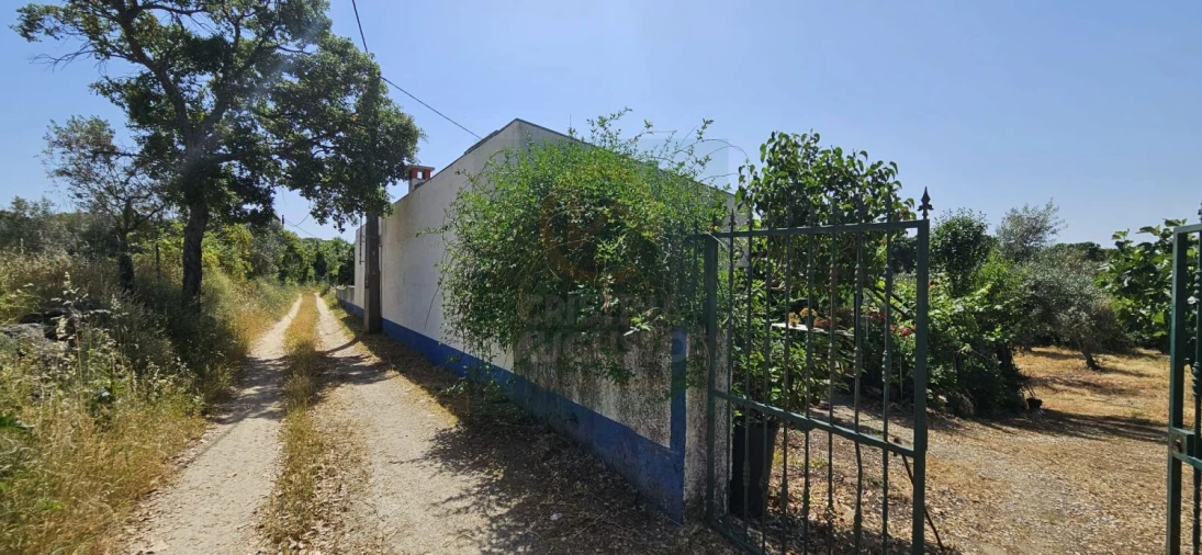 Terreno para Venda em Escalos de Baixo e Mata Foto 47