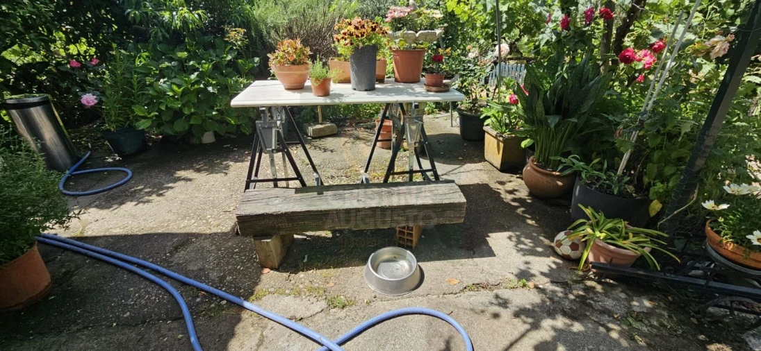 Terreno para Venda em Escalos de Baixo e Mata Foto 12