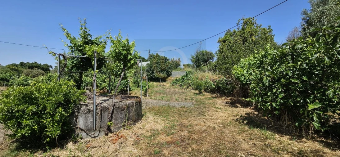 Terreno para Venda em Escalos de Baixo e Mata Foto 37