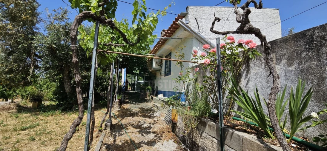Terreno para Venda em Escalos de Baixo e Mata Foto 7