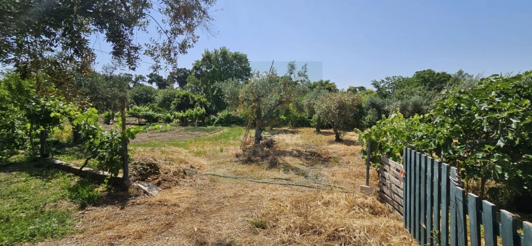 Terreno para Venda em Escalos de Baixo e Mata Foto 52