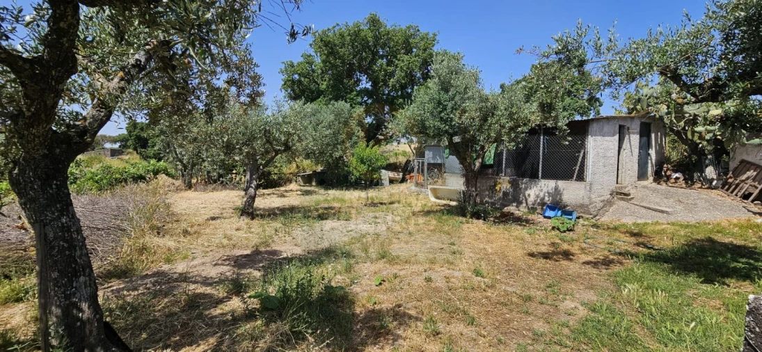 Terreno para Venda em Escalos de Baixo e Mata Foto 5