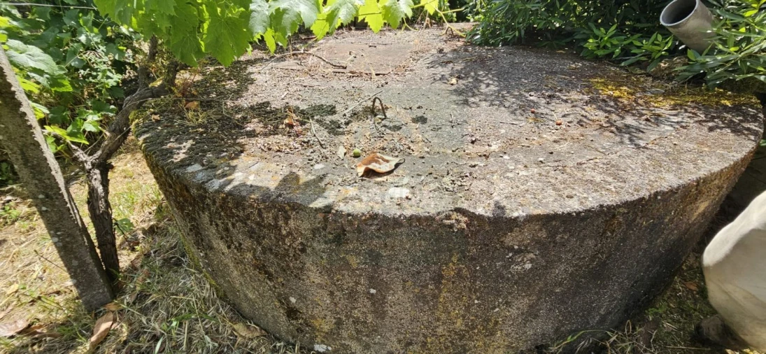 Terreno para Venda em Escalos de Baixo e Mata Foto 49