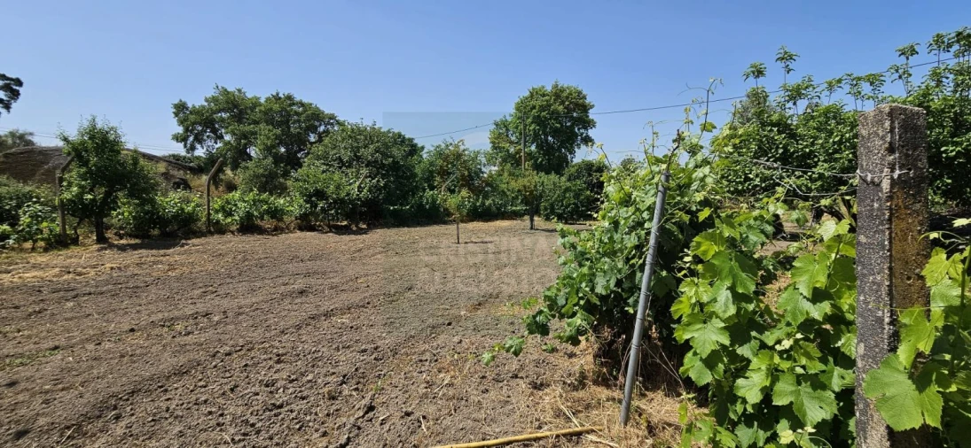 Terreno para Venda em Escalos de Baixo e Mata Foto 45