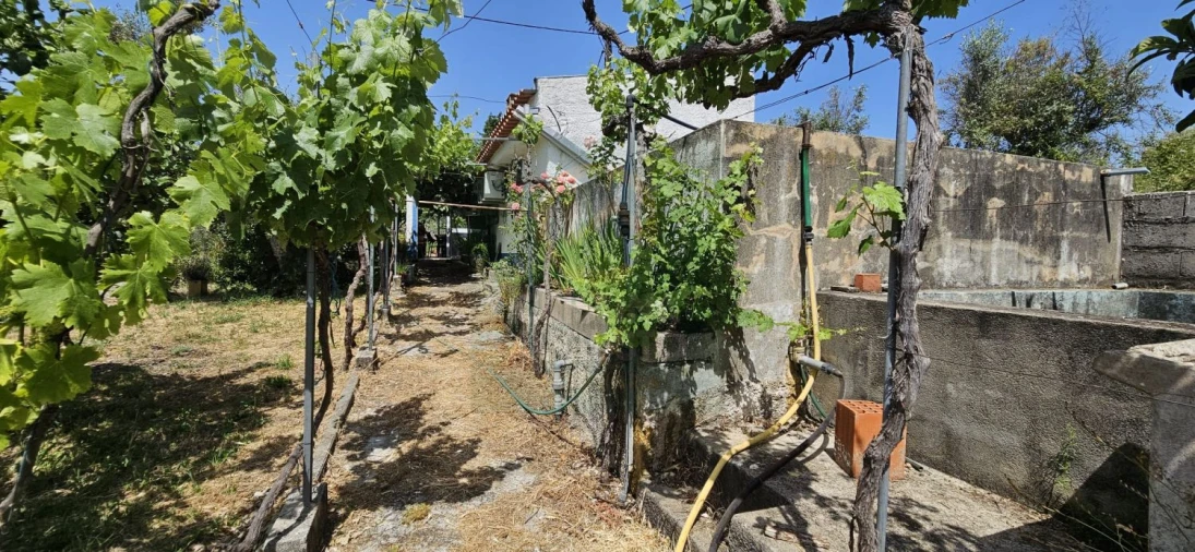 Terreno para Venda em Escalos de Baixo e Mata Foto 41