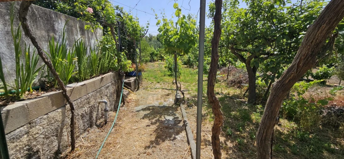 Terreno para Venda em Escalos de Baixo e Mata Foto 17