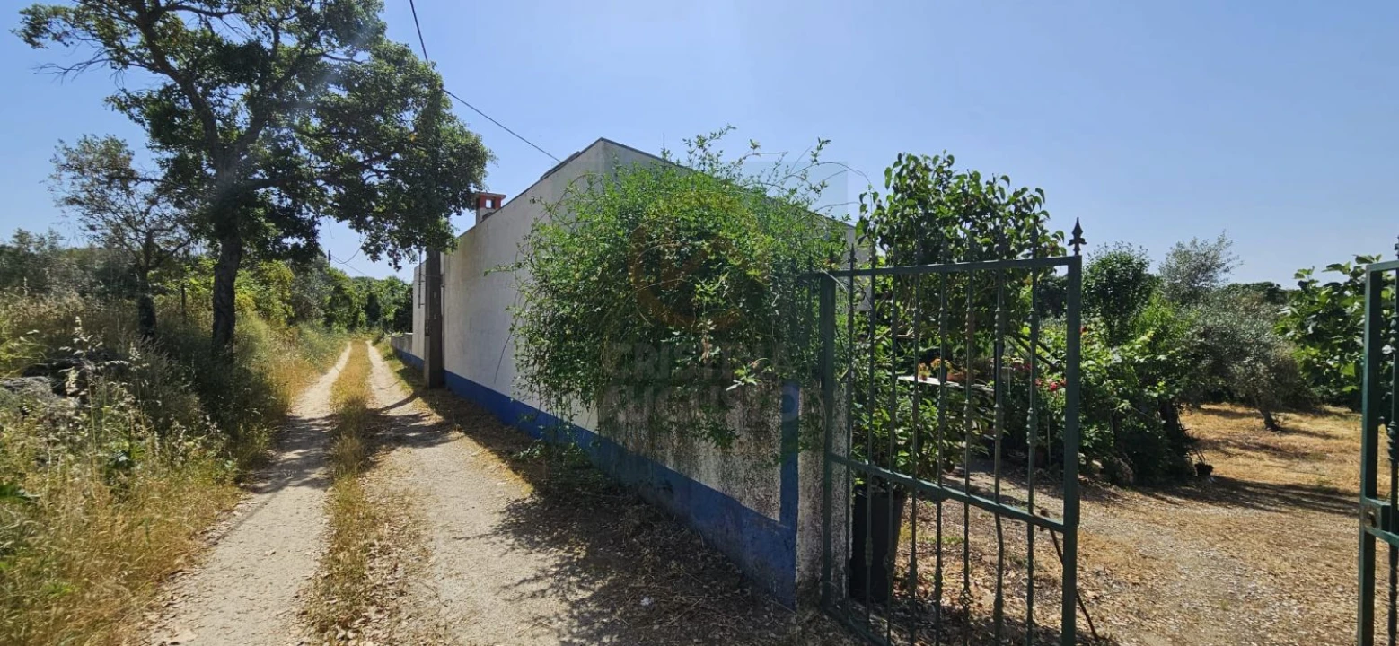 Terreno para Venda em Escalos de Baixo e Mata Foto 47