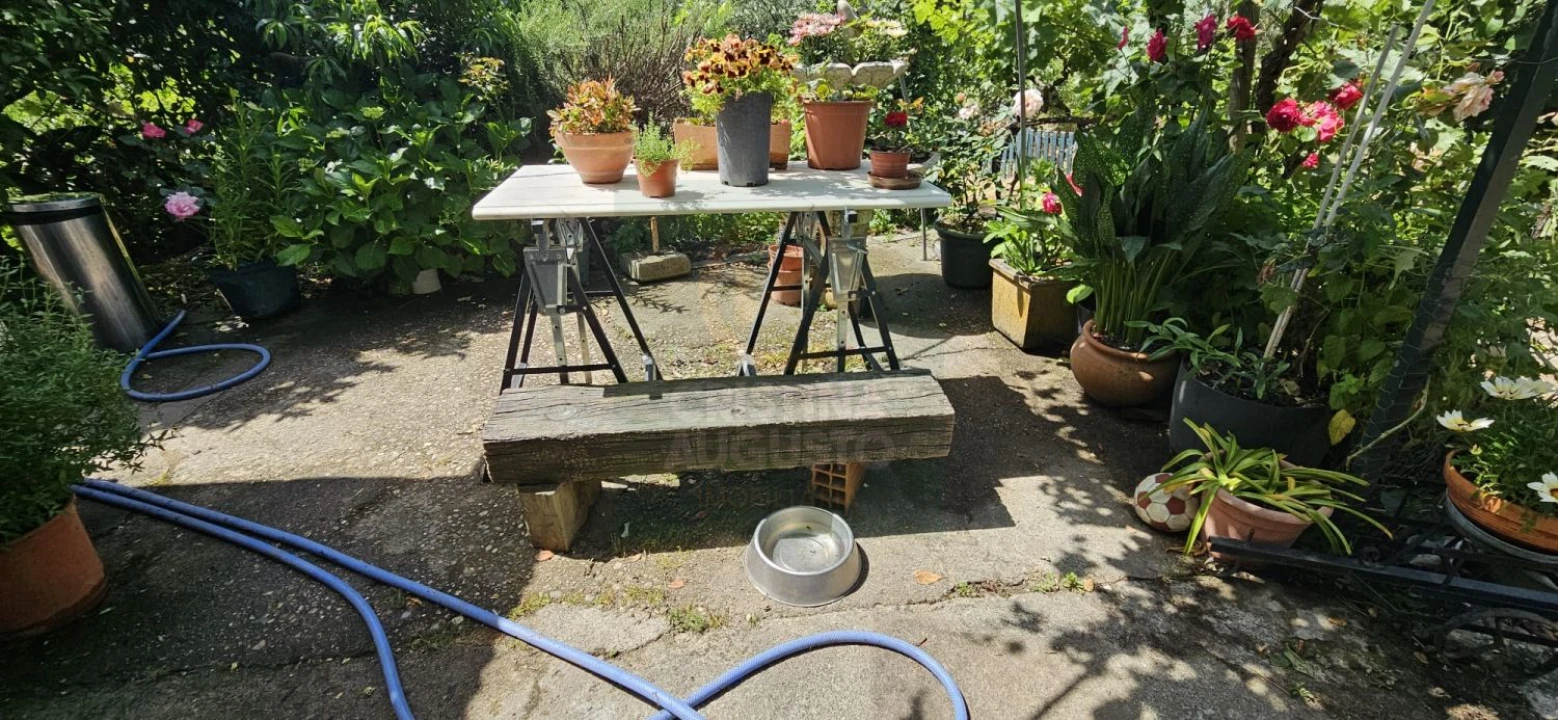 Terreno para Venda em Escalos de Baixo e Mata Foto 12