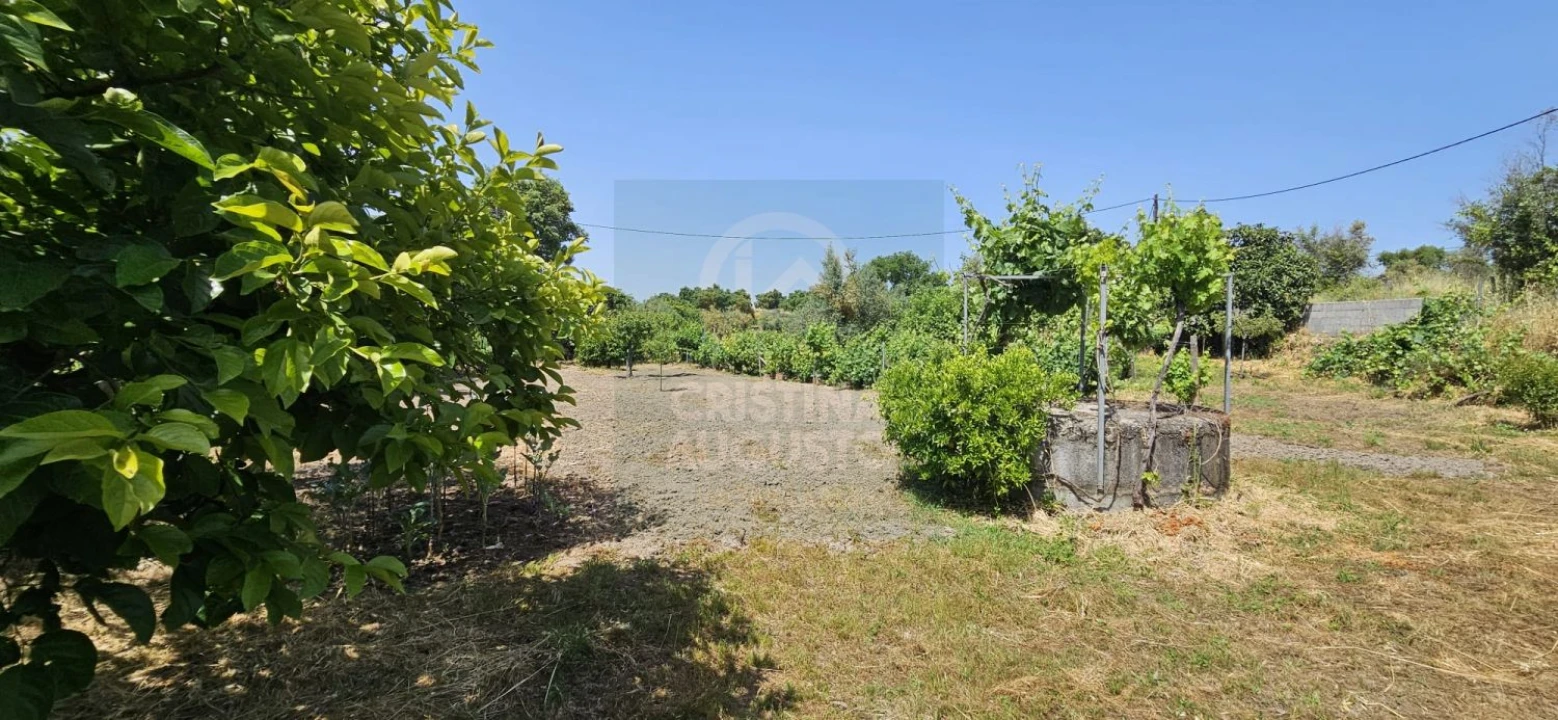 Terreno para Venda em Escalos de Baixo e Mata Foto 4