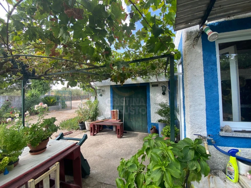 Terreno para Venda em Escalos de Baixo e Mata Foto 1