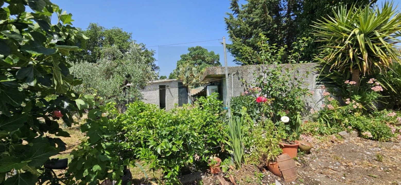 Terreno para Venda em Escalos de Baixo e Mata Foto 9