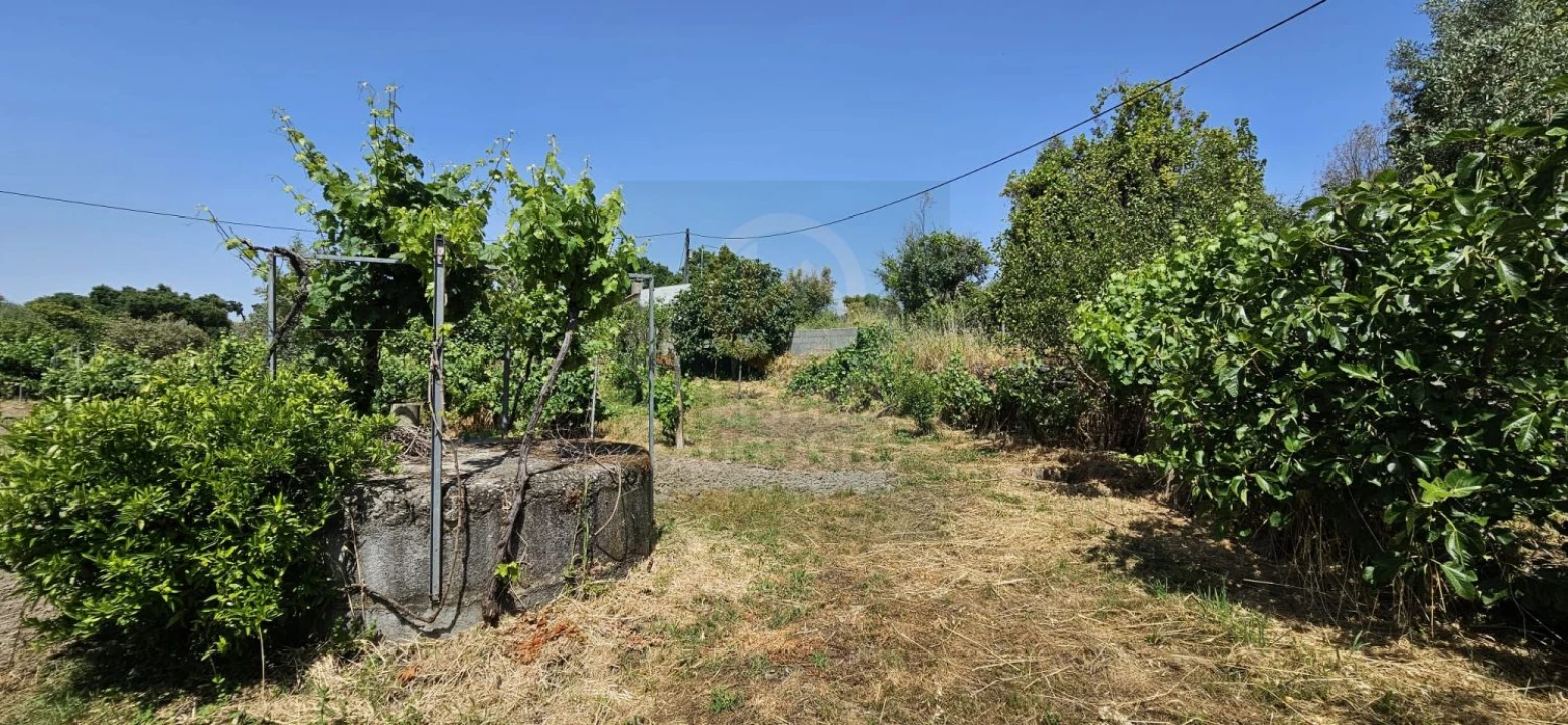 Terreno para Venda em Escalos de Baixo e Mata Foto 37