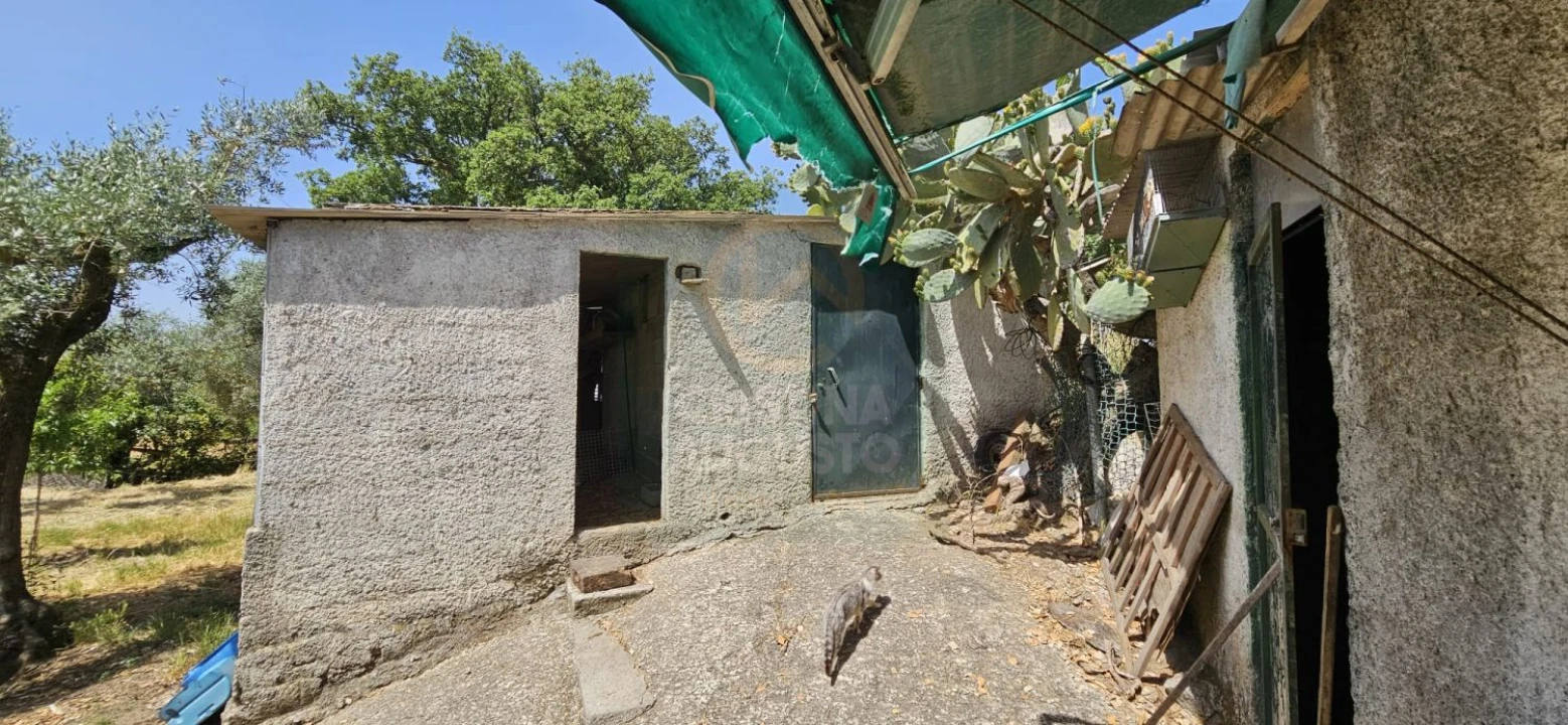 Terreno para Venda em Escalos de Baixo e Mata Foto 24